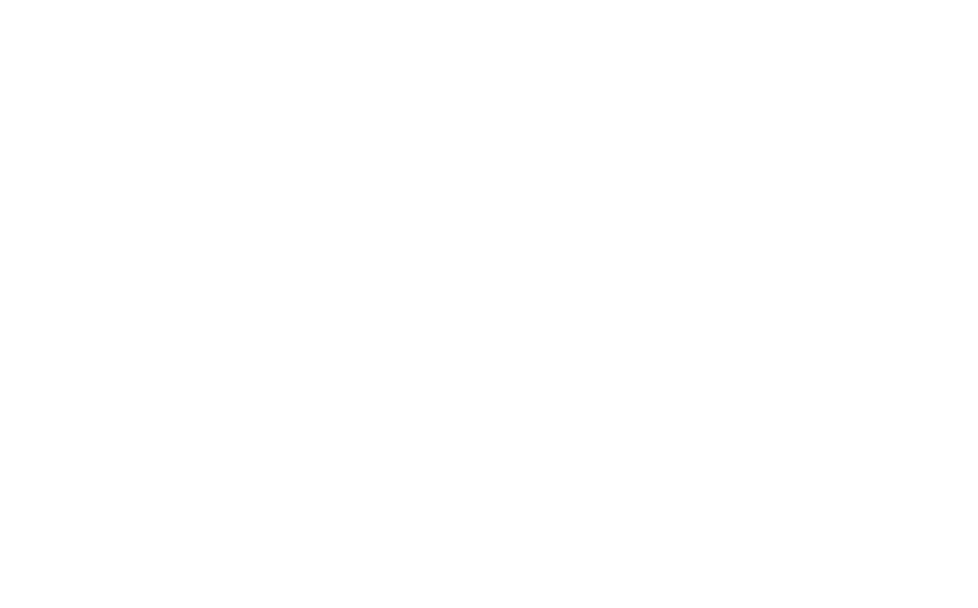 Pista Urbana